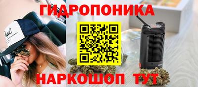 твердый Аша
