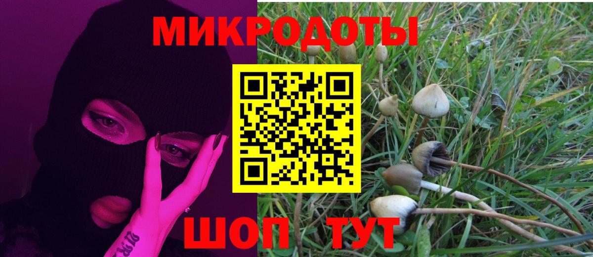 Бийск  Псилоцибиновые грибы GOLDEN TEACHER  Вход с VPN 